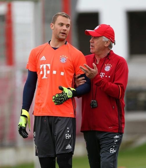 地区独特的 地区独特的